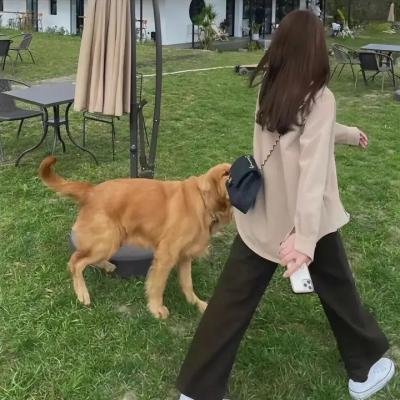 怪人怪事